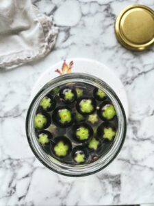 fermented black tomatoes