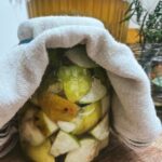 cider apple vinegar