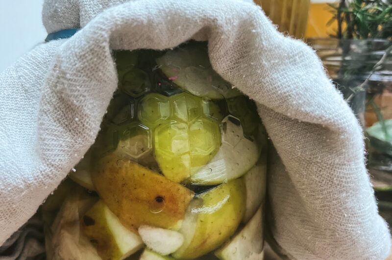 Homemade cider apple vinegar