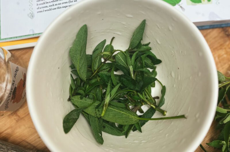 Spring cleaning with sage