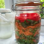 fermented slaw for spring