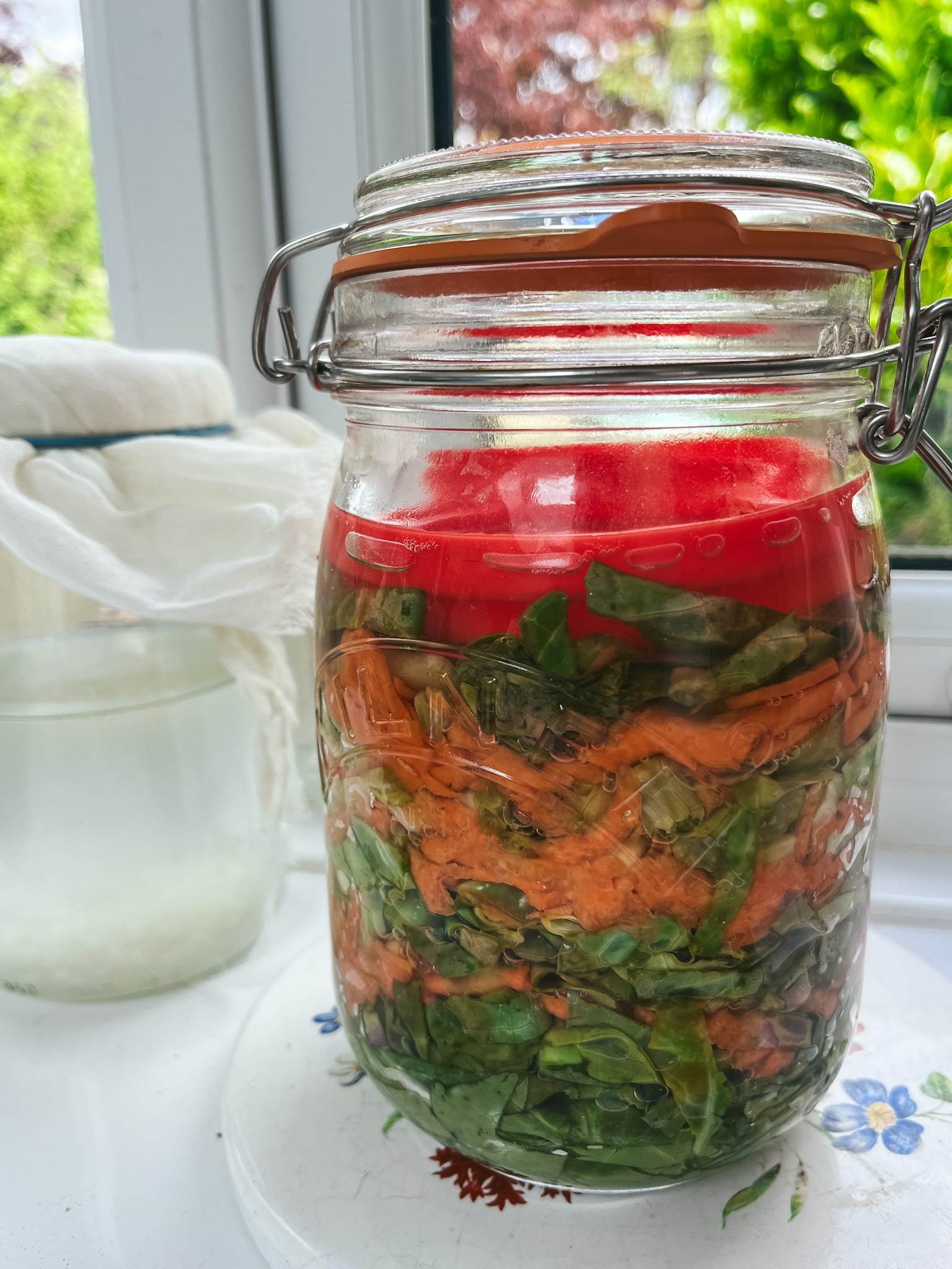 fermented slaw for spring