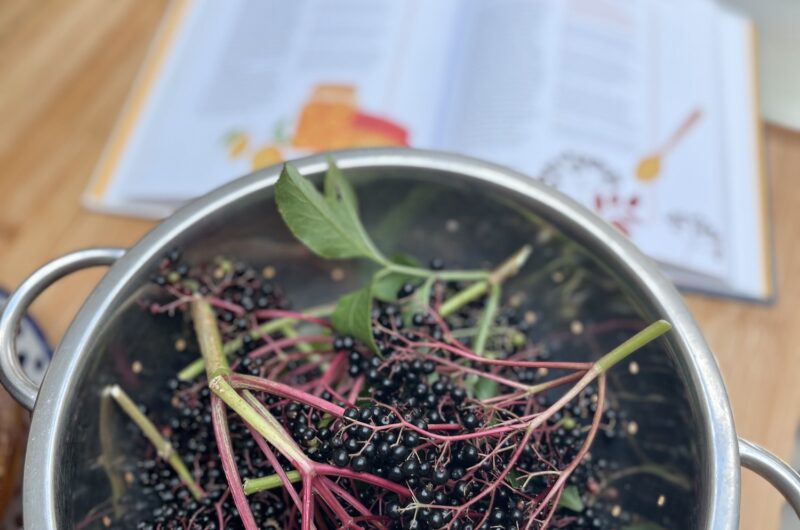 Elderberry cordial for a tasty immunity boost