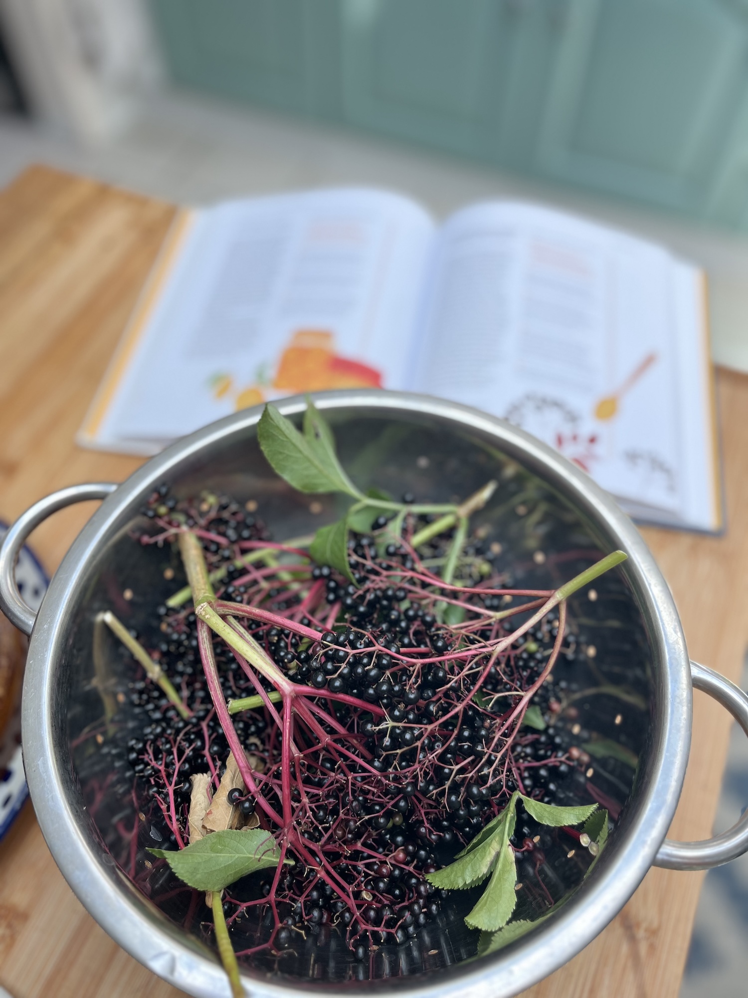 recipe for elderberry cordial
